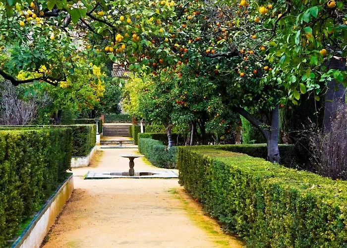 Il Dolce Rifugio Appartement Sorrente