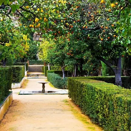 Il Dolce Rifugio Daire Sorrento